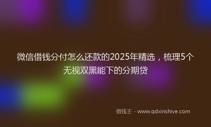微信借钱分付怎么还款的2025年精选，梳理5个无视双黑能下的分期贷
