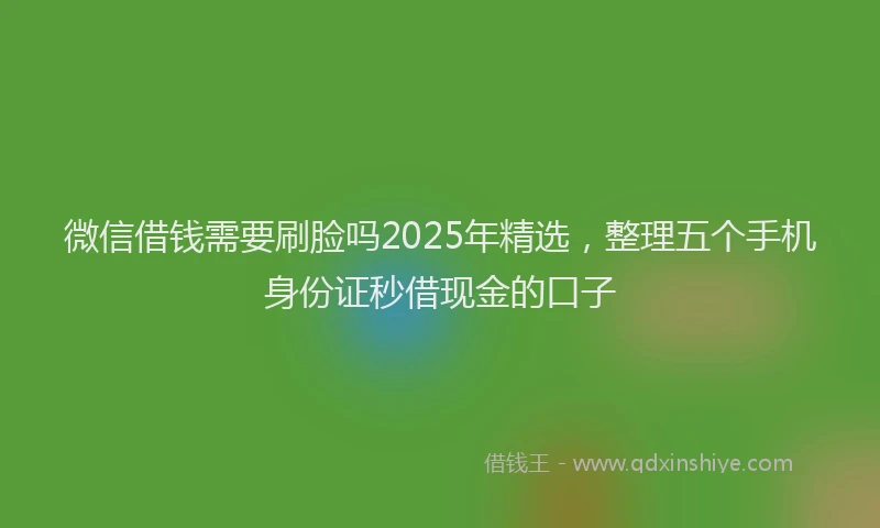微信借钱需要刷脸吗2025年精选，整理五个手机身份证秒借现金的口子