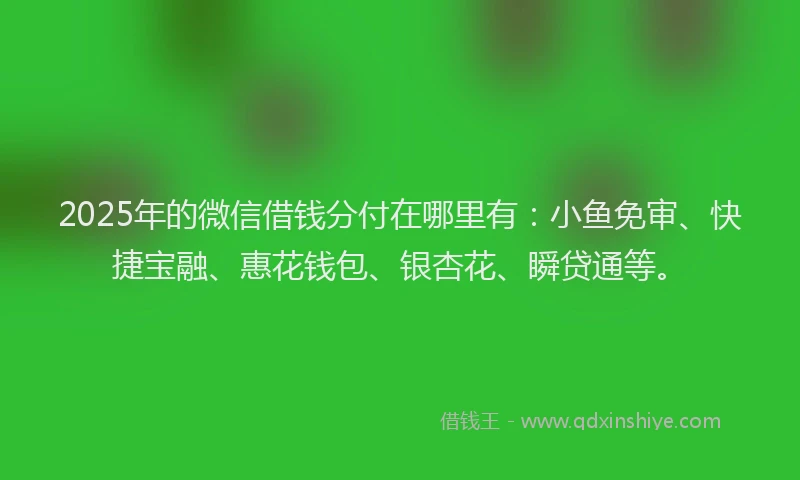 2025年的微信借钱分付在哪里有：小鱼免审、快捷宝融、惠花钱包、银杏花、瞬贷通等。