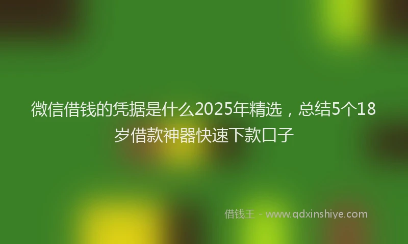 微信借钱的凭据是什么2025年精选，总结5个18岁借款神器快速下款口子