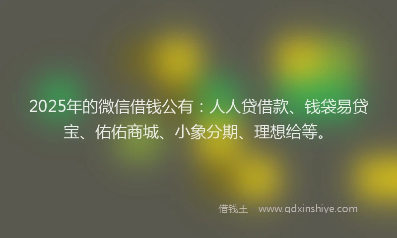 2025年的微信借钱公有：人人贷借款、钱袋易贷宝、佑佑商城、小象分期、理想给等。