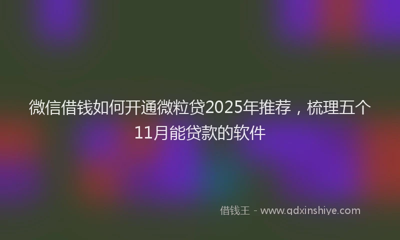 微信借钱如何开通微粒贷2025年推荐，梳理五个11月能贷款的软件