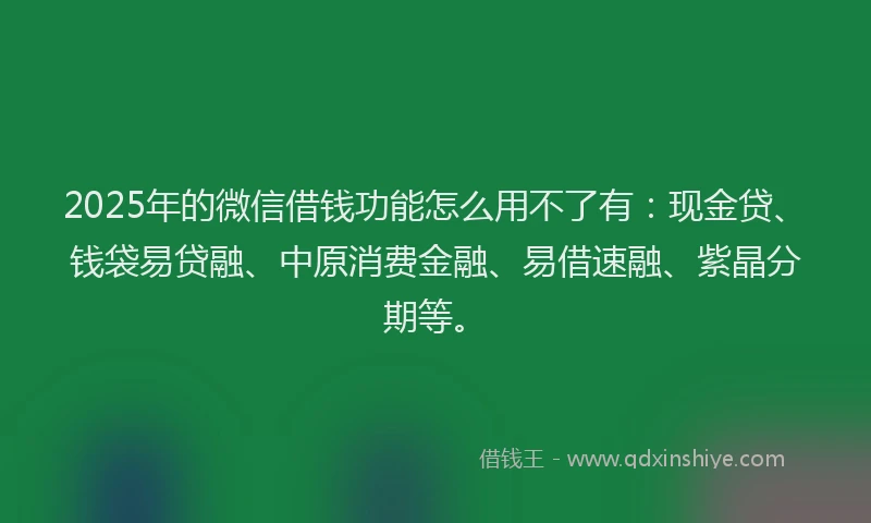 2025年的微信借钱功能怎么用不了有：现金贷、钱袋易贷融、中原消费金融、易借速融、紫晶分期等。
