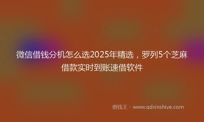 微信借钱分机怎么选2025年精选，罗列5个芝麻借款实时到账速借软件