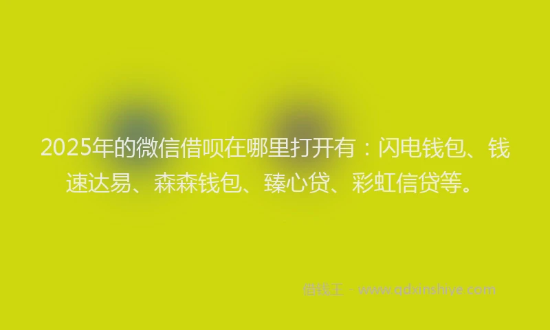 2025年的微信借呗在哪里打开有：闪电钱包、钱速达易、森森钱包、臻心贷、彩虹信贷等。