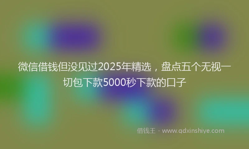 微信借钱但没见过2025年精选，盘点五个无视一切包下款5000秒下款的口子