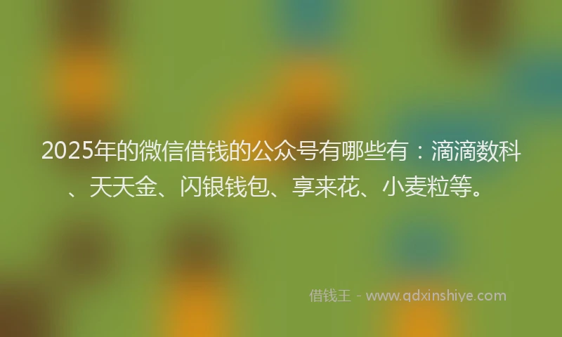 2025年的微信借钱的公众号有哪些有：滴滴数科、天天金、闪银钱包、享来花、小麦粒等。