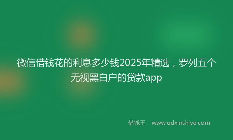 微信借钱花的利息多少钱2025年精选，罗列五个无视黑白户的贷款app