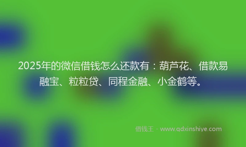 2025年的微信借钱怎么还款有：葫芦花、借款易融宝、粒粒贷、同程金融、小金鹤等。