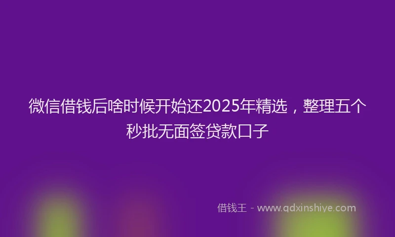 微信借钱后啥时候开始还2025年精选，整理五个秒批无面签贷款口子