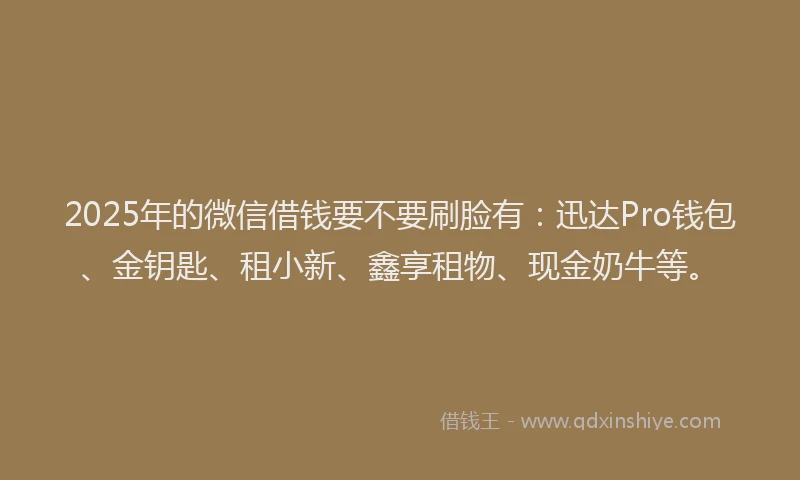 2025年的微信借钱要不要刷脸有：迅达Pro钱包、金钥匙、租小新、鑫享租物、现金奶牛等。
