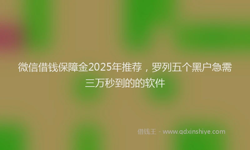 微信借钱保障金2025年推荐，罗列五个黑户急需三万秒到的的软件
