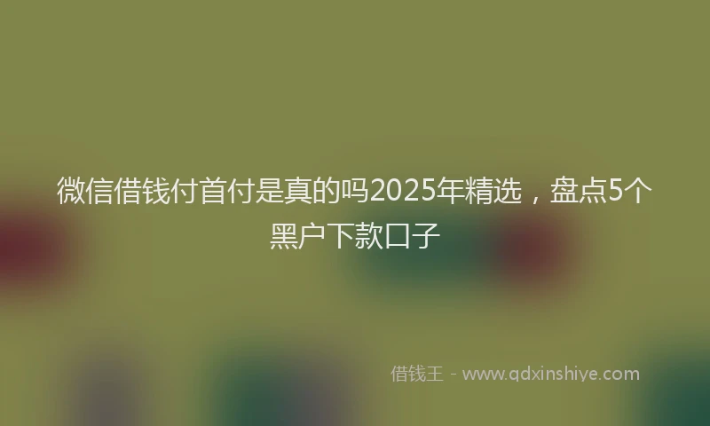 微信借钱付首付是真的吗2025年精选，盘点5个黑户下款口子