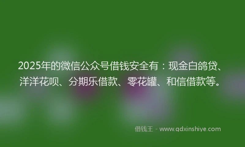 2025年的微信公众号借钱安全有：现金白鸽贷、洋洋花呗、分期乐借款、零花罐、和信借款等。