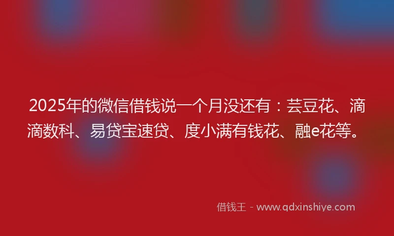 2025年的微信借钱说一个月没还有：芸豆花、滴滴数科、易贷宝速贷、度小满有钱花、融e花等。