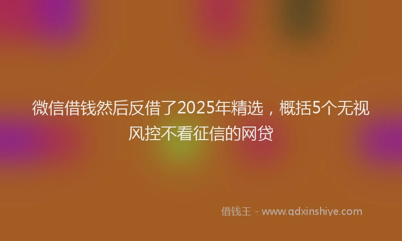微信借钱然后反借了2025年精选，概括5个无视风控不看征信的网贷