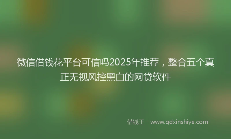 微信借钱花平台可信吗2025年推荐，整合五个真正无视风控黑白的网贷软件
