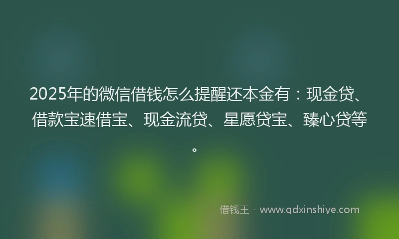 2025年的微信借钱怎么提醒还本金有：现金贷、借款宝速借宝、现金流贷、星愿贷宝、臻心贷等。