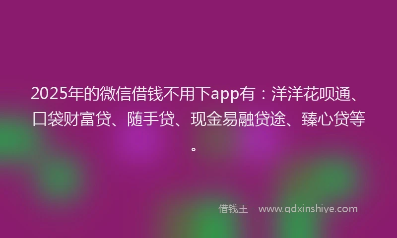 2025年的微信借钱不用下app有：洋洋花呗通、口袋财富贷、随手贷、现金易融贷途、臻心贷等。