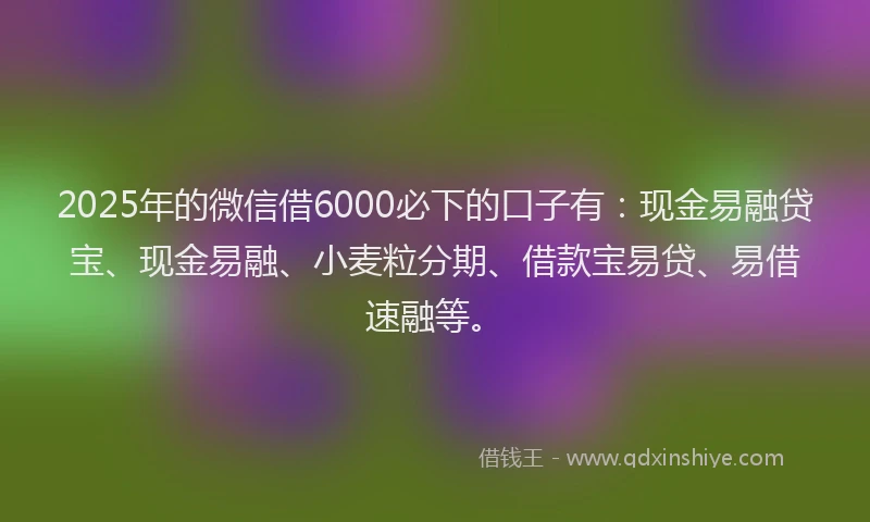 2025年的微信借6000必下的口子有：现金易融贷宝、现金易融、小麦粒分期、借款宝易贷、易借速融等。