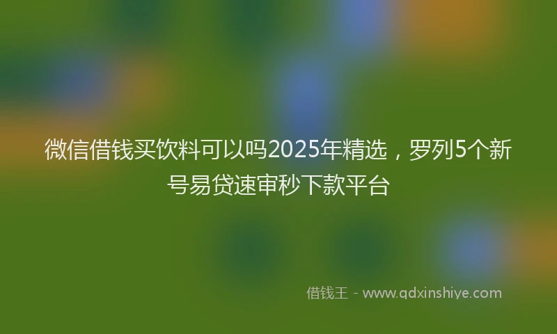微信借钱买饮料可以吗2025年精选，罗列5个新号易贷速审秒下款平台