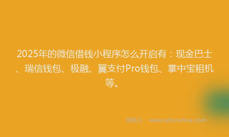 2025年的微信借钱小程序怎么开启有：现金巴士、瑞信钱包、极融、翼支付Pro钱包、掌中宝租机等。
