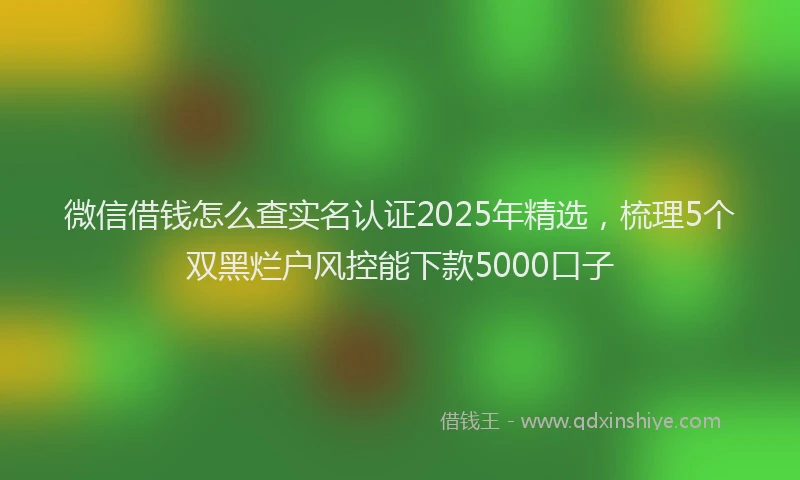 微信借钱怎么查实名认证2025年精选，梳理5个双黑烂户风控能下款5000口子