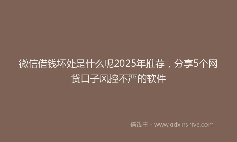 微信借钱坏处是什么呢2025年推荐，分享5个网贷口子风控不严的软件