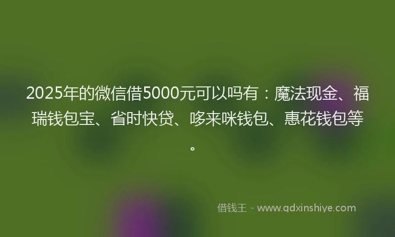 2025年的微信借5000元可以吗有：魔法现金、福瑞钱包宝、省时快贷、哆来咪钱包、惠花钱包等。