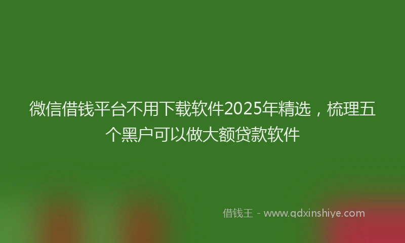 微信借钱平台不用下载软件2025年精选，梳理五个黑户可以做大额贷款软件