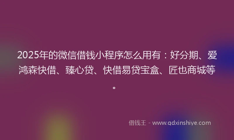 2025年的微信借钱小程序怎么用有：好分期、爱鸿森快借、臻心贷、快借易贷宝盒、匠也商城等。