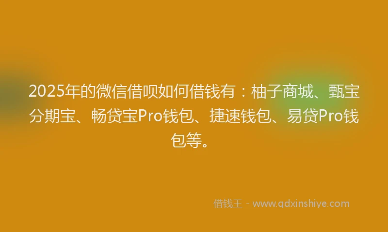 2025年的微信借呗如何借钱有：柚子商城、甄宝分期宝、畅贷宝Pro钱包、捷速钱包、易贷Pro钱包等。