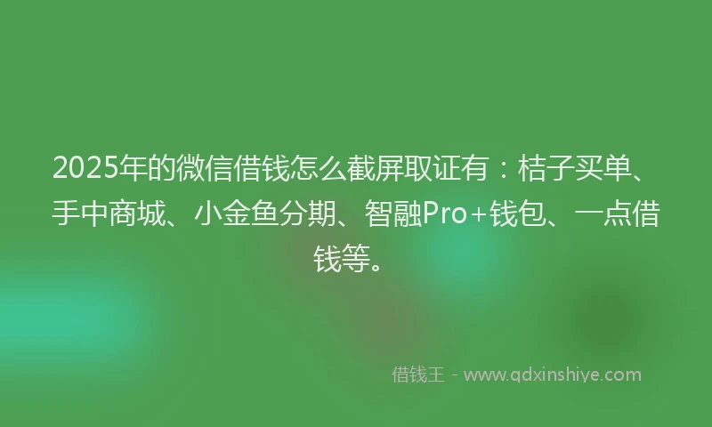 2025年的微信借钱怎么截屏取证有：桔子买单、手中商城、小金鱼分期、智融Pro+钱包、一点借钱等。