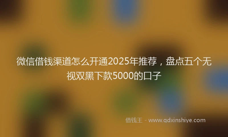 微信借钱渠道怎么开通2025年推荐，盘点五个无视双黑下款5000的口子