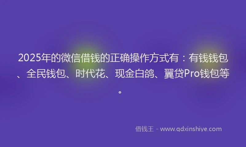 2025年的微信借钱的正确操作方式有：有钱钱包、全民钱包、时代花、现金白鸽、翼贷Pro钱包等。