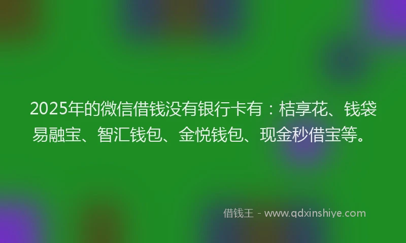 2025年的微信借钱没有银行卡有：桔享花、钱袋易融宝、智汇钱包、金悦钱包、现金秒借宝等。