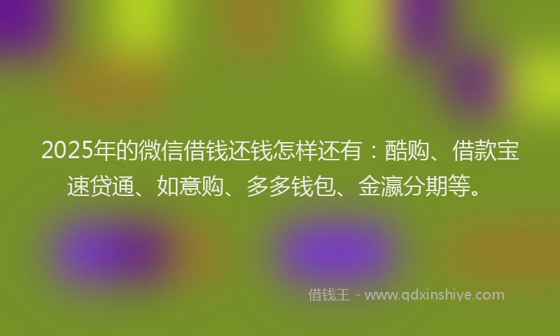 2025年的微信借钱还钱怎样还有：酷购、借款宝速贷通、如意购、多多钱包、金瀛分期等。