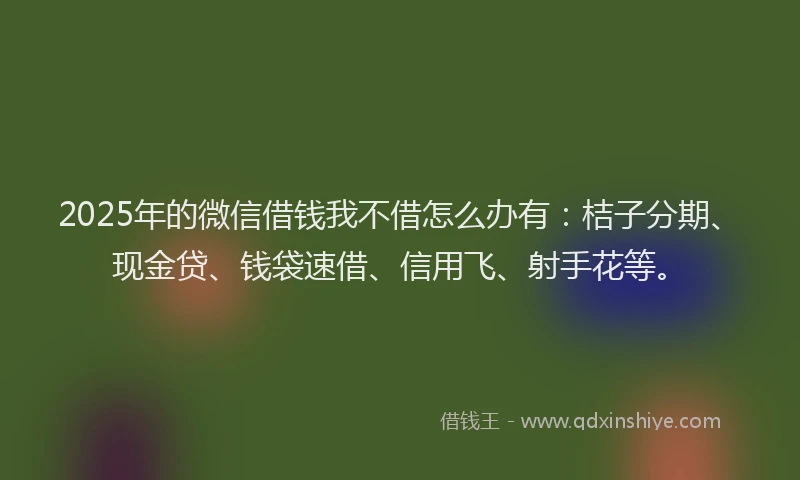 2025年的微信借钱我不借怎么办有：桔子分期、现金贷、钱袋速借、信用飞、射手花等。