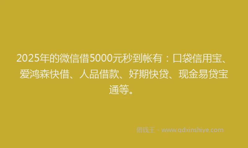 2025年的微信借5000元秒到帐有：口袋信用宝、爱鸿森快借、人品借款、好期快贷、现金易贷宝通等。