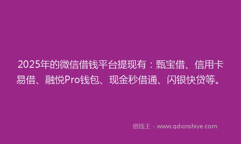 2025年的微信借钱平台提现有：甄宝借、信用卡易借、融悦Pro钱包、现金秒借通、闪银快贷等。