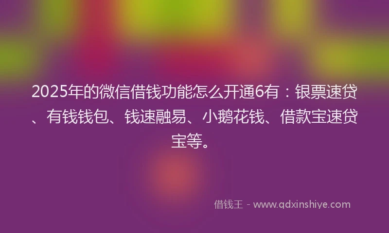 2025年的微信借钱功能怎么开通6有：银票速贷、有钱钱包、钱速融易、小鹅花钱、借款宝速贷宝等。