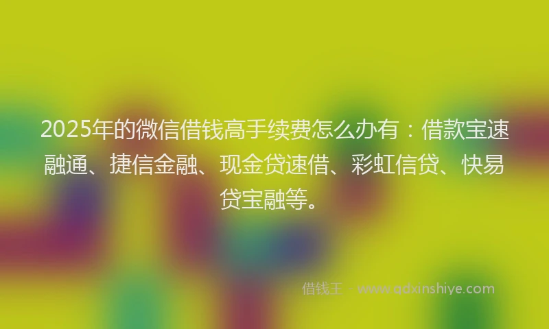 2025年的微信借钱高手续费怎么办有：借款宝速融通、捷信金融、现金贷速借、彩虹信贷、快易贷宝融等。