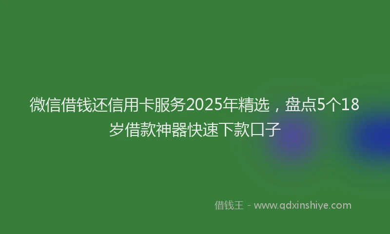 微信借钱还信用卡服务2025年精选，盘点5个18岁借款神器快速下款口子