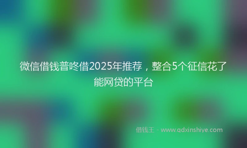 微信借钱普咚借2025年推荐，整合5个征信花了能网贷的平台