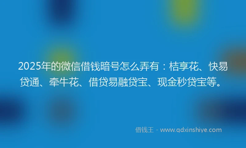 2025年的微信借钱暗号怎么弄有：桔享花、快易贷通、牵牛花、借贷易融贷宝、现金秒贷宝等。