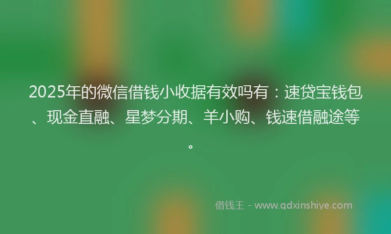 2025年的微信借钱小收据有效吗有：速贷宝钱包、现金直融、星梦分期、羊小购、钱速借融途等。