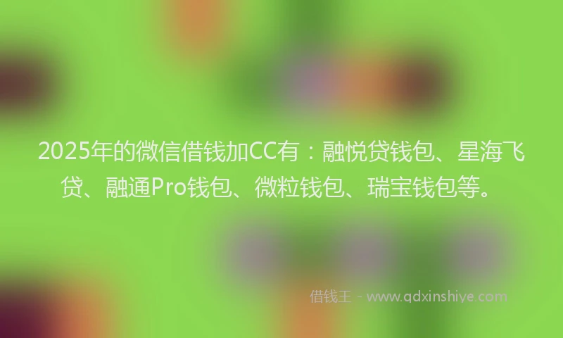 2025年的微信借钱加CC有：融悦贷钱包、星海飞贷、融通Pro钱包、微粒钱包、瑞宝钱包等。