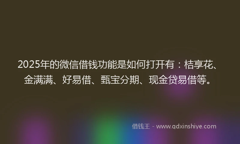 2025年的微信借钱功能是如何打开有：桔享花、金满满、好易借、甄宝分期、现金贷易借等。