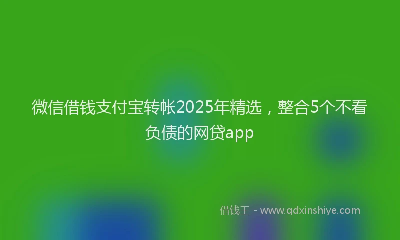 微信借钱支付宝转帐2025年精选，整合5个不看负债的网贷app