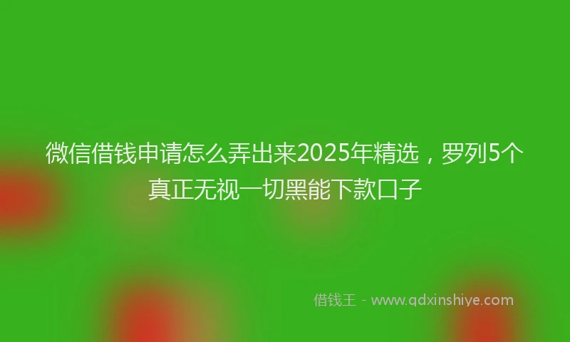 微信借钱申请怎么弄出来2025年精选，罗列5个真正无视一切黑能下款口子